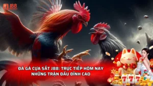 Đá gà cựa sắt J88: Trực tiếp hôm nay những trận đấu đỉnh cao