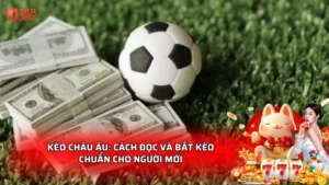 Kèo Châu Âu: Cách đọc và bắt kèo chuẩn cho người mới