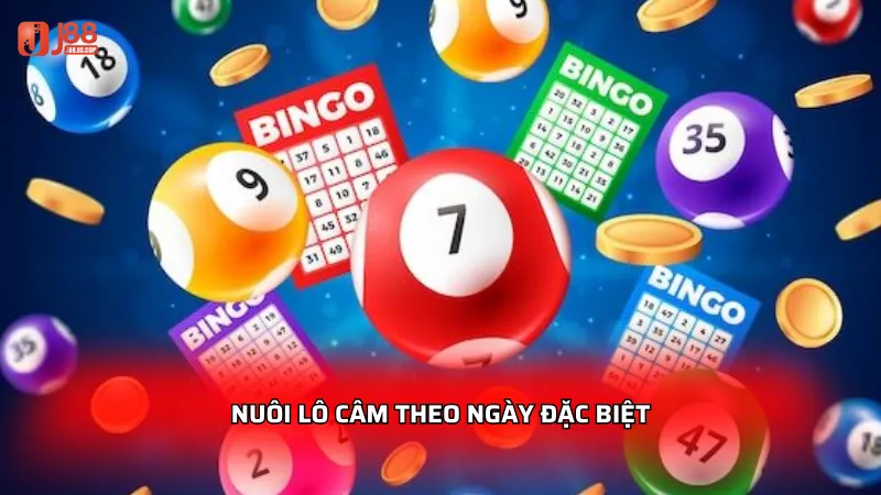 Nuôi lô câm theo ngày đặc biệt