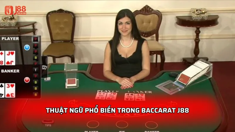 Thuật ngữ phổ biến trong Baccarat J88